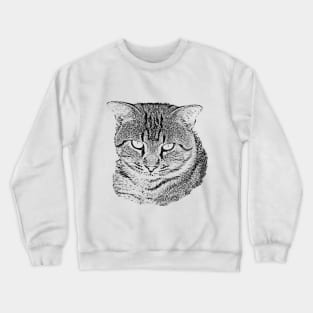 Tabby Cat Sketch Crewneck Sweatshirt